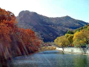 澳门二四六天天彩图库，神葫